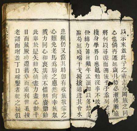 江西李氏族谱-李氏宗谱.pdf电子版预览图2