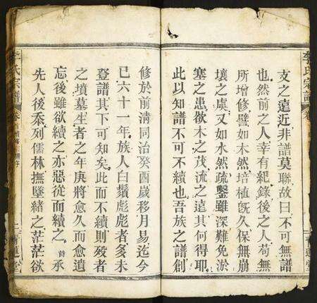 江西李氏族谱-李氏宗谱.pdf电子版预览图5