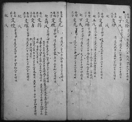 江西李氏族谱-李氏族谱.pdf电子版预览图1