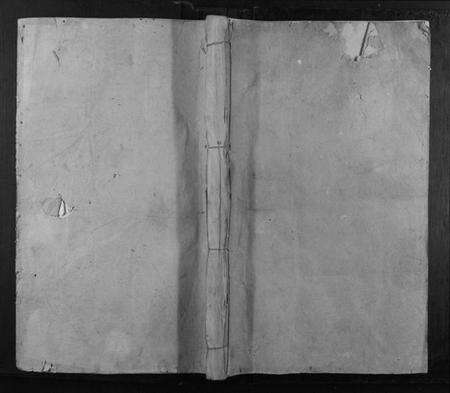 江西李氏族谱-东龙李氏九修族谱.pdf电子版缩略图