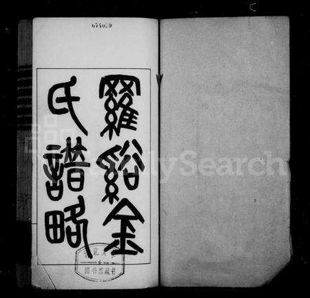 江苏金氏族谱-罗溪金氏谱略.pdf电子版缩略图