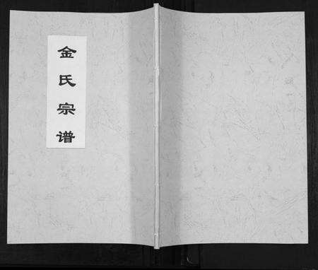 江苏金氏族谱-金氏宗谱.pdf电子版缩略图