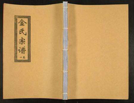江苏金氏族谱-金氏宗谱.pdf电子版缩略图