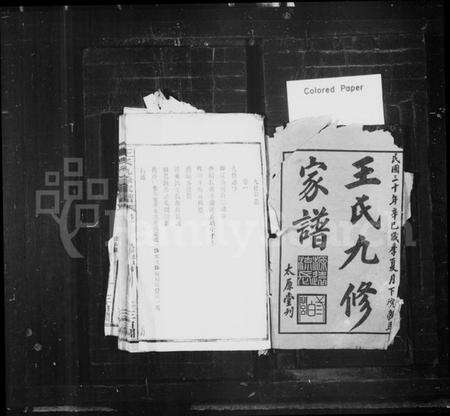 湖南王氏族谱-王氏九修家谱.pdf电子版预览图2