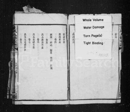 湖南王氏族谱-王氏九修家谱.pdf电子版预览图4