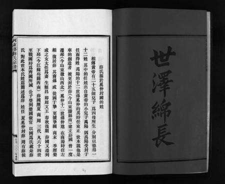 浙江薛氏族谱-薛氏宗谱 [4卷].pdf电子版预览图3