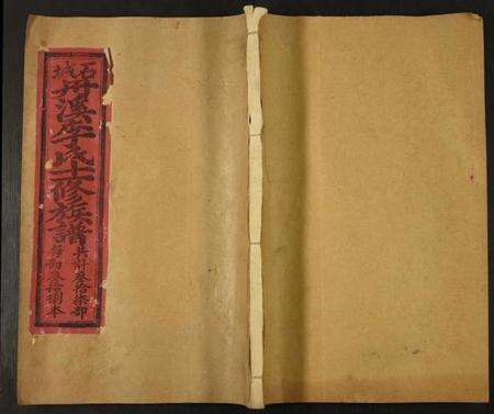 江西李氏族谱-石城丹溪李氏十一修族谱.pdf电子版缩略图