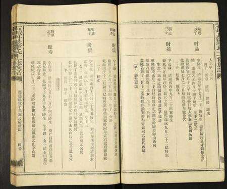 江西李氏族谱-石城丹溪李氏十一修族谱.pdf电子版预览图5