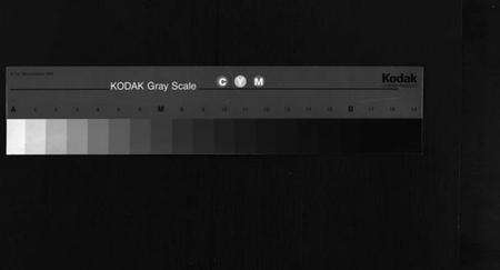 浙江夏氏族谱-蓝田夏氏宗谱 [10卷,首1卷].pdf电子版缩略图