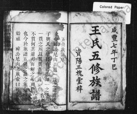 湖南王氏族谱-王氏五修族谱 [18卷].pdf电子版预览图2