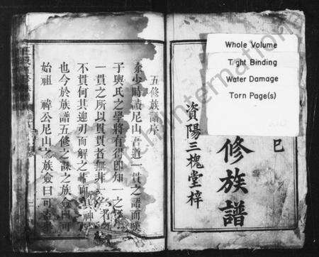 湖南王氏族谱-王氏五修族谱 [18卷].pdf电子版预览图3