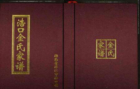 湖北金氏族谱-浩口金氏家谱.pdf电子版缩略图