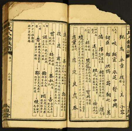 湖南王氏族谱-王氏八修族谱.pdf电子版预览图2