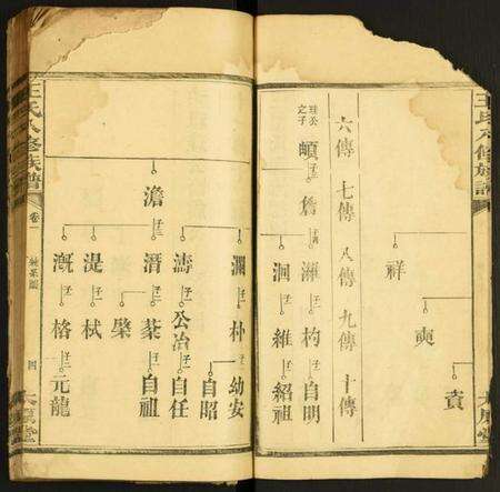 湖南王氏族谱-王氏八修族谱.pdf电子版预览图4