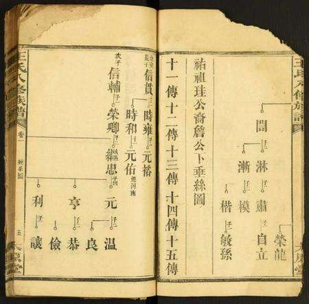 湖南王氏族谱-王氏八修族谱.pdf电子版预览图5