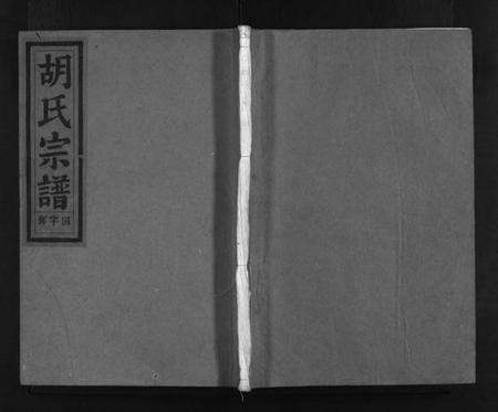 浙江胡氏族谱-兰江胡氏宗谱 [4卷].pdf电子版预览图1