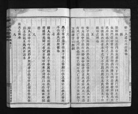 浙江胡氏族谱-兰江胡氏宗谱 [4卷].pdf电子版预览图4