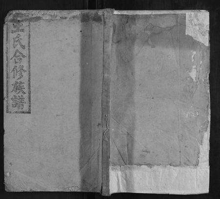 湖南王氏族谱-王氏合修族谱.pdf电子版缩略图