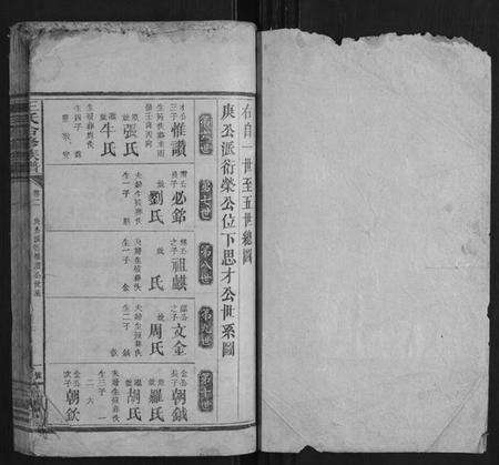 湖南王氏族谱-王氏合修族谱.pdf电子版预览图1