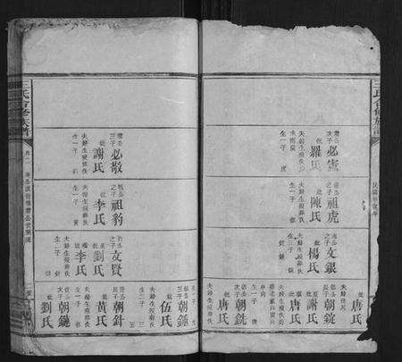 湖南王氏族谱-王氏合修族谱.pdf电子版预览图2