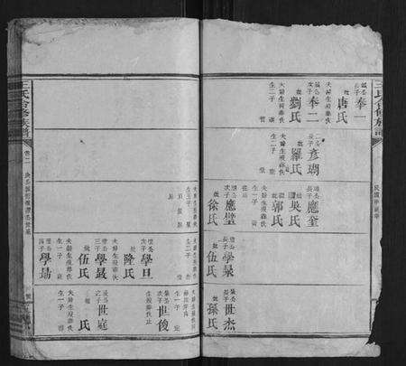 湖南王氏族谱-王氏合修族谱.pdf电子版预览图4