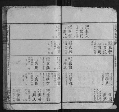 湖南王氏族谱-王氏合修族谱.pdf电子版预览图5