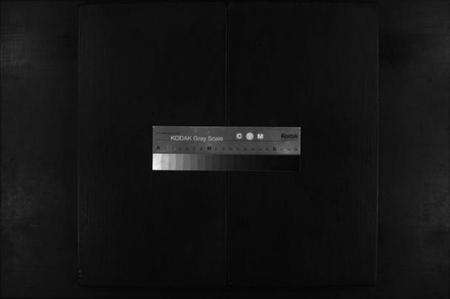 浙江陈氏族谱-兰谿厚岭陈氏宗谱 [卷数不详].pdf电子版缩略图