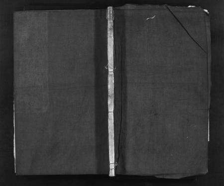 浙江严氏族谱-兰谿严氏宗谱 [10卷].pdf电子版预览图1