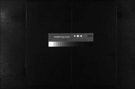 浙江严氏族谱-兰谿严氏宗谱 [10卷].pdf电子版缩略图