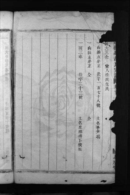 浙江胡氏族谱-兰谿顾峯胡氏宗谱 [8卷,首2卷].pdf电子版预览图2