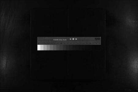 浙江缪氏族谱-兰陵缪氏宗谱 [不分卷].pdf电子版缩略图