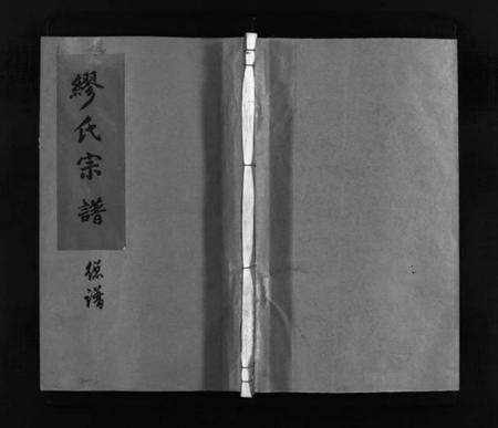 浙江缪氏族谱-兰陵缪氏宗谱 [不分卷].pdf电子版预览图1