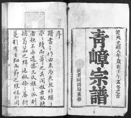 浙江余氏族谱-萝蔓塘迁青嶂余氏宗谱[24卷,首末各1卷].pdf电子版预览图1