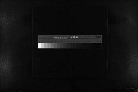 浙江倪氏族谱-虹川倪氏宗谱 [6卷].pdf电子版缩略图