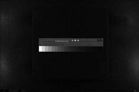 浙江姚氏族谱-虹桥姚氏宗谱 [2卷].pdf电子版缩略图