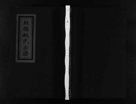 浙江姚氏族谱-虹桥姚氏宗谱 [2卷].pdf电子版预览图1