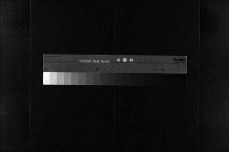 浙江施氏族谱-蟾河施氏大族谱 [按房分册].pdf电子版缩略图