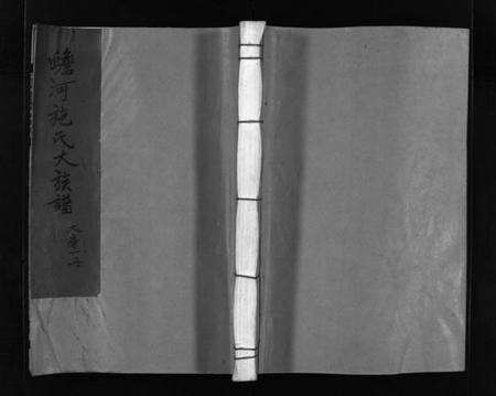 浙江施氏族谱-蟾河施氏大族谱 [按房分册].pdf电子版预览图1