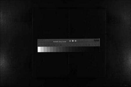 浙江陈氏族谱-蛎川陈氏宗谱 [不分卷].pdf电子版缩略图