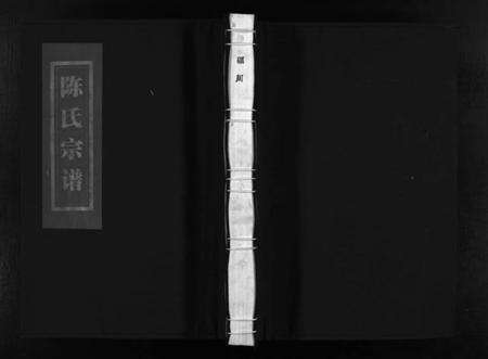 浙江陈氏族谱-蛎川陈氏宗谱 [不分卷].pdf电子版预览图1