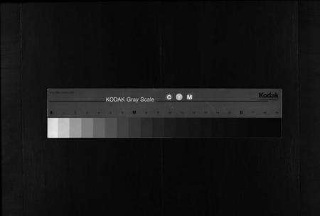 浙江陈氏族谱-街亭陈氏宗谱 [2卷].pdf电子版缩略图