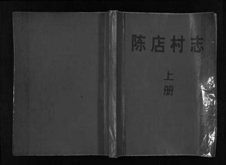 浙江陈氏族谱-街亭陈氏宗谱 [2卷].pdf电子版预览图1