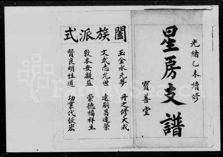 湖南王氏族谱-王氏星房支谱.pdf电子版预览图2