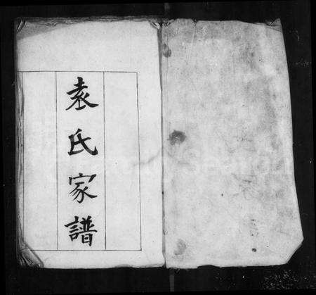 浙江袁氏族谱-袁氏家谱.pdf电子版预览图4