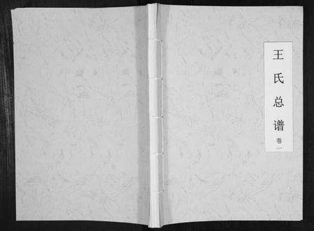 湖南王氏族谱-王氏总谱.pdf电子版缩略图