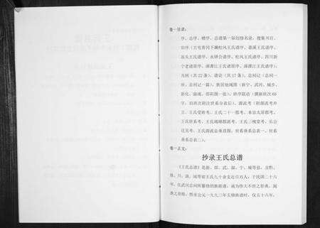 湖南王氏族谱-王氏总谱.pdf电子版预览图3