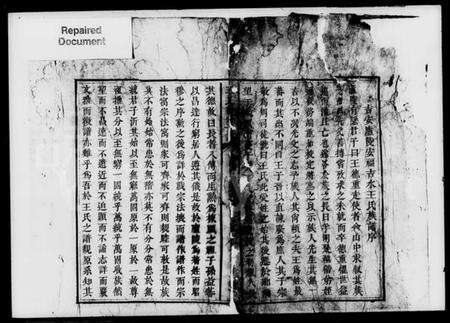 湖南王氏族谱-王氏续修支谱.pdf电子版预览图2