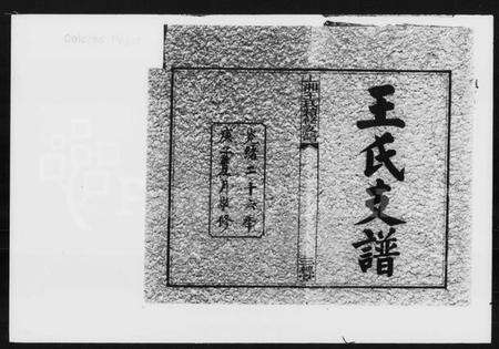 湖南王氏族谱-王氏续修支谱 [6卷,首2卷].pdf电子版预览图2