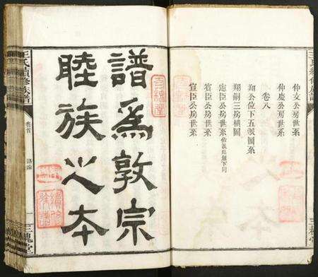 湖南王氏族谱-王氏续修族谱.pdf电子版预览图4