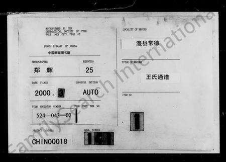 湖南王氏族谱-王氏通谱 [上下卷].pdf电子版缩略图